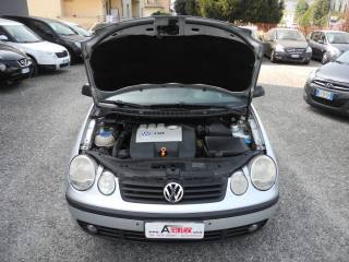 VOLKSWAGEN Polo usata 55