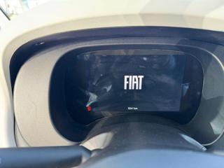 FIAT Panda Cross usata, con Controllo trazione