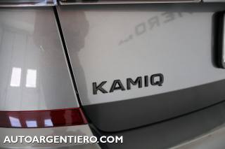 SKODA Kamiq usata, con Volante multifunzione