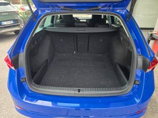 SKODA Octavia usata 111