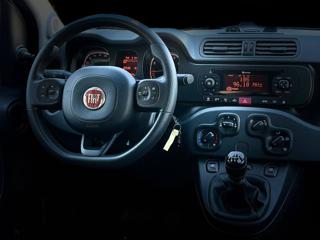 FIAT Panda usata, con Airbag testa
