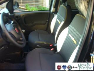 FIAT Panda Cross usata, con Volante multifunzione