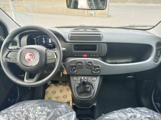FIAT Panda usata, con Controllo elettronico della corsia