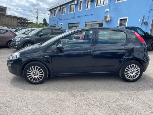 FIAT Punto usata 0