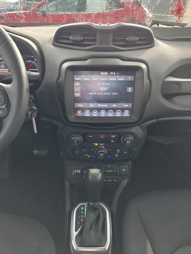 JEEP Renegade usata, con Cruise Control