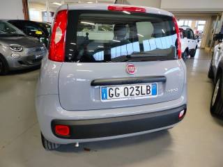 FIAT Panda usata, con Antifurto
