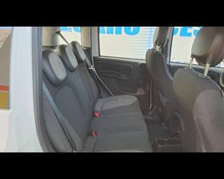 FIAT Panda usata 17