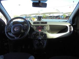 FIAT Panda usata 21