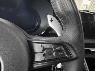 ALFA ROMEO Tonale usata, con Telecamera per parcheggio assistito