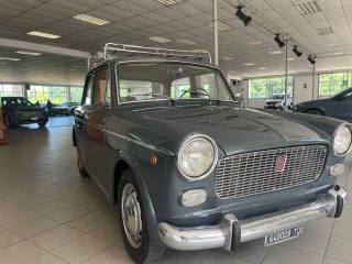 FIAT 1100 usata 2