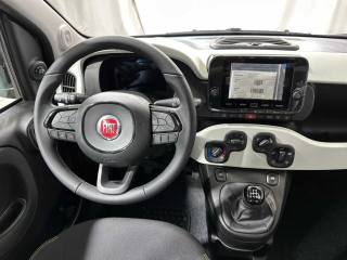 FIAT Panda usata 12