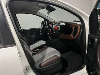 FIAT Panda Cross usata, con Controllo trazione