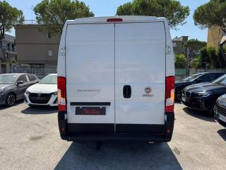 FIAT Ducato usata, con Airbag Passeggero