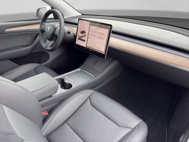 TESLA Model Y usata, con Cronologia tagliandi