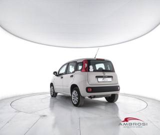 FIAT Panda usata 3