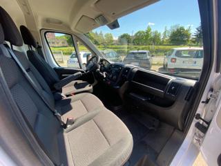 OPEL Movano usata 32