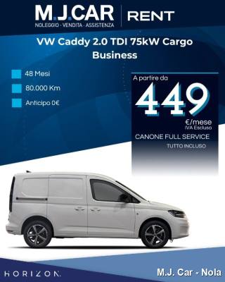 VOLKSWAGEN Caddy 2.0 TDI 102 CV Furgone Business