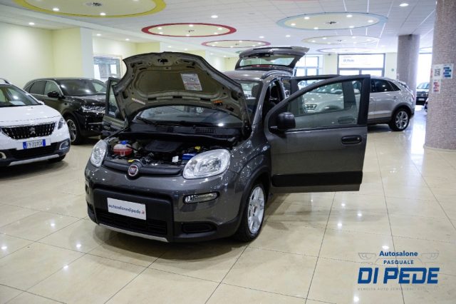 FIAT Panda usata, con Controllo trazione