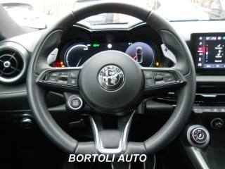 ALFA ROMEO Tonale usata, con Cronologia tagliandi