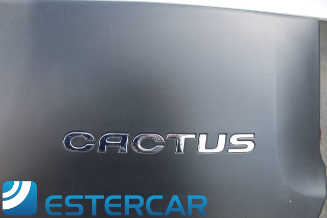 CITROEN C4 Cactus usata, con Sensore di pioggia