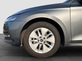 SKODA Octavia usata 15