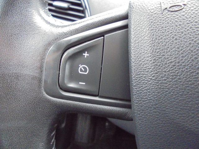 RENAULT Scenic usata 40