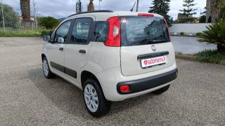 FIAT Panda usata, con Alzacristalli elettrici