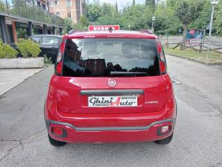 FIAT Panda Cross usata, con Climatizzatore