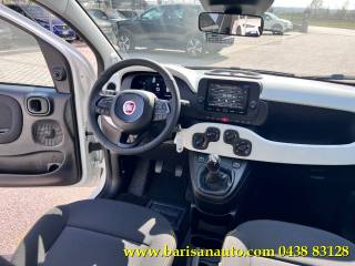 FIAT Panda usata, con Climatizzatore