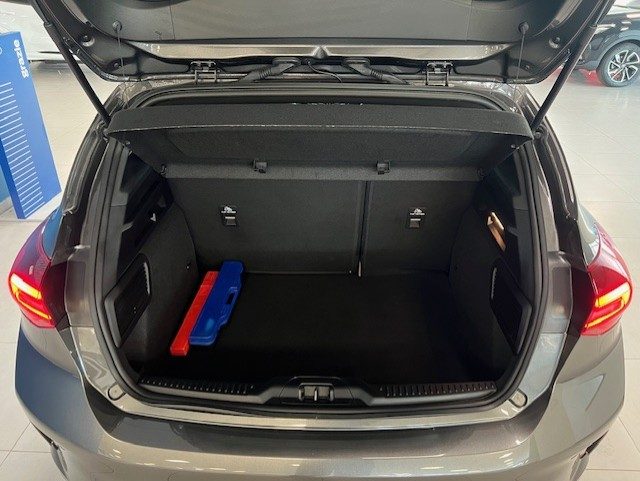 FORD Focus usata, con Volante in pelle