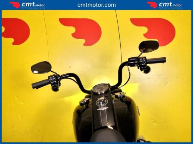 HARLEY-DAVIDSON Other usata 10