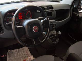 FIAT Panda usata 23
