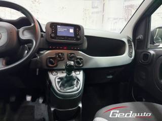 FIAT Panda usata, con Cruise Control