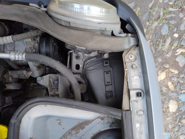 RENAULT Twingo usata 25