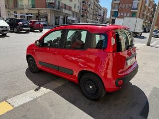 FIAT Panda usata, con Climatizzatore