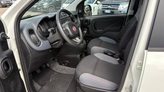 FIAT Panda usata, con Controllo trazione