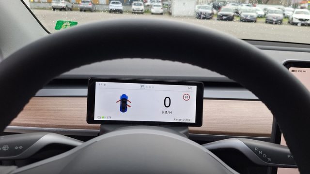 TESLA Model Y usata, con Sedili riscaldati