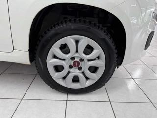 FIAT Panda usata 14
