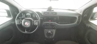 FIAT Panda usata, con ESP