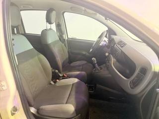 FIAT Panda usata 7