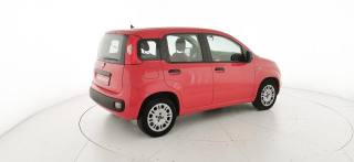 FIAT Panda usata 17