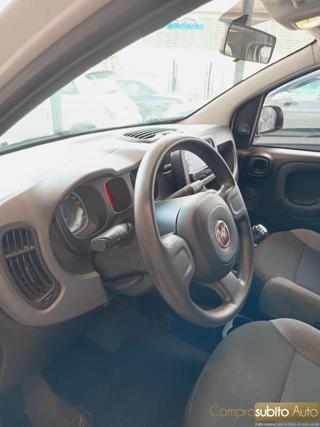 FIAT Panda usata, con Controllo trazione