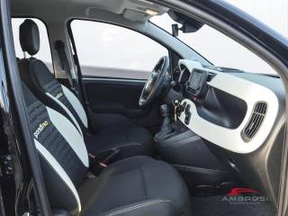 FIAT Panda usata 11