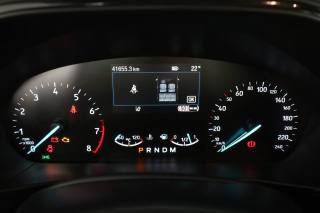 FORD Focus usata 6