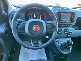 FIAT Panda usata, con USB
