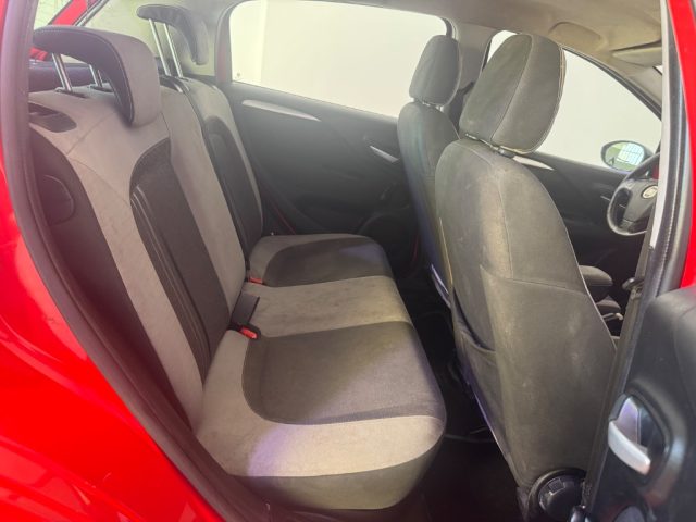 FIAT Punto usata 14