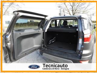 FORD EcoSport usata, con Cruise Control