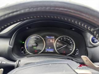 LEXUS NX 300h usata 12