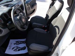 FIAT Panda usata, con Climatizzatore