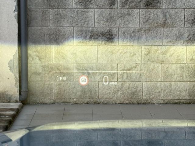 BMW 520 usata, con Leve al volante